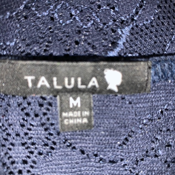 TALULA aritzia lace sheer long sleeve mini dress size medium - Picture 4 of 7